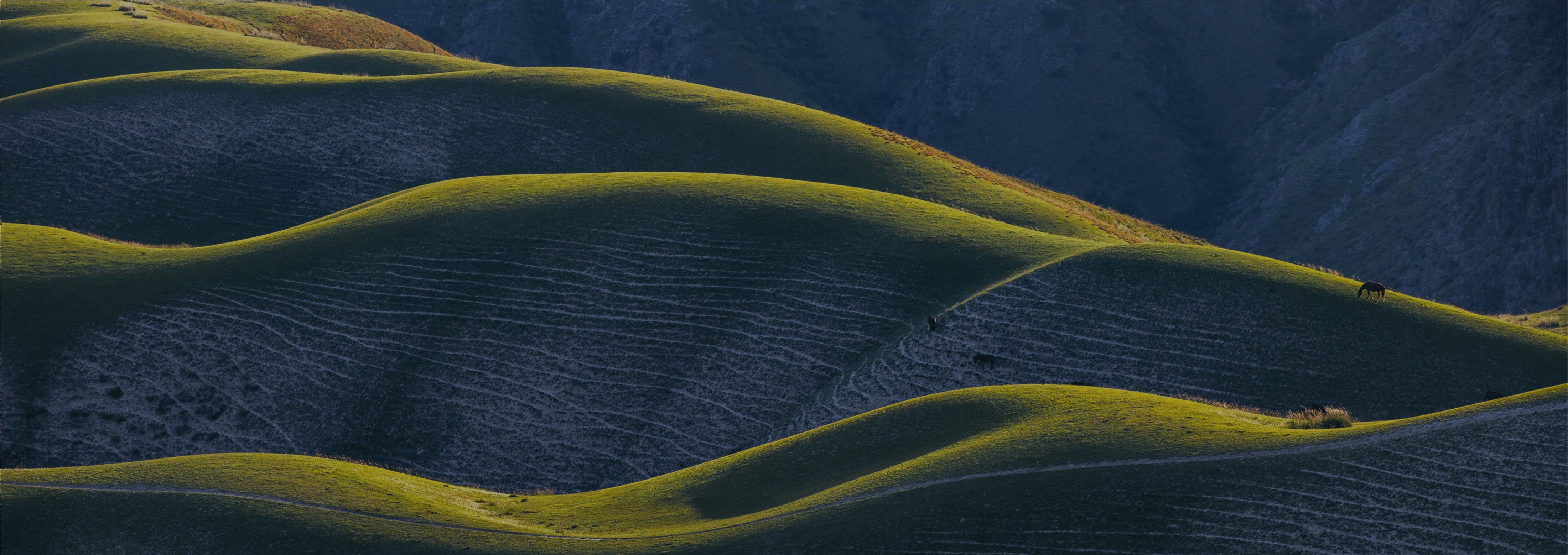 Nos thèmes d'investissement 2026